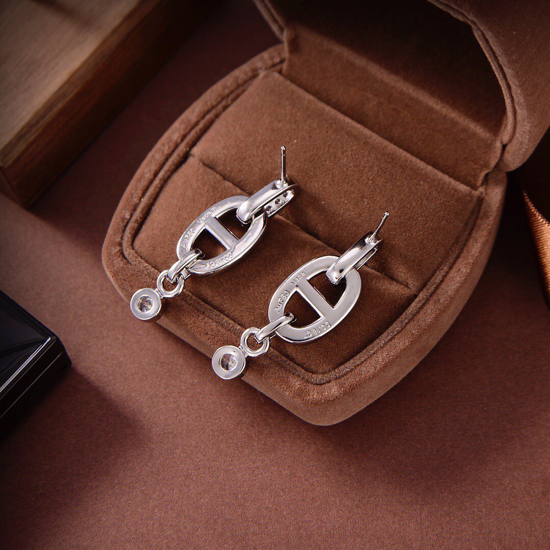[Marin]HM CHAINE DIAMOND EARRINGS